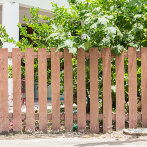 Picture of wood picket fence in front of green bushes